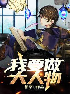 李天謝婉靜小說(shuō)封面