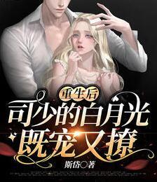 洛南一司墨裴小說封面